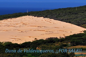El alcalde de Tarifa regala arena de la playa Valdevaqueros