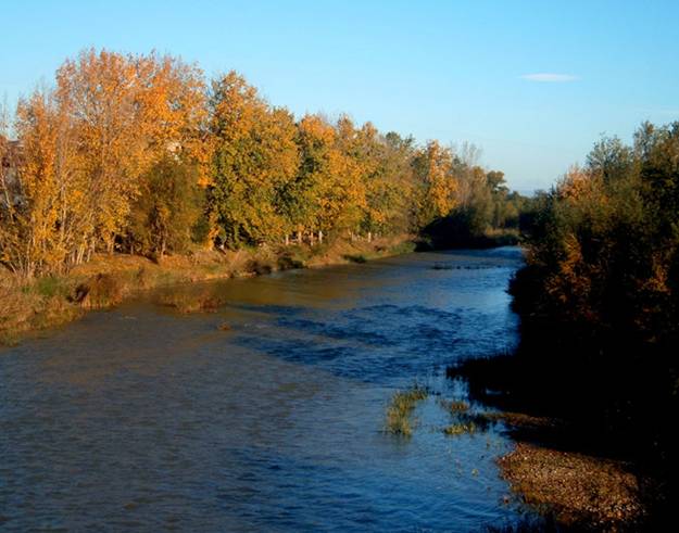 Los caudales ‘insuficientes’ del Cinca al Parlamento Europeo