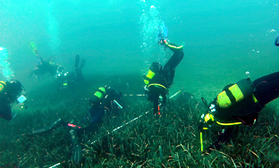 Comienza una nueva campaña de voluntariado submarino para la conservación de las praderas de posidonia
