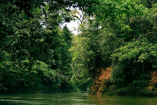 Corporaciones europeas buscan permisos para contaminar