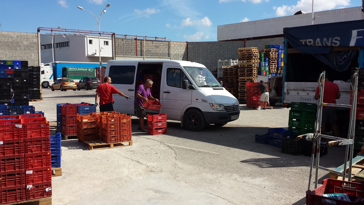 La central de envases de Mercalicante registra 66.500 movimientos de envases en apenas un mes de actividad