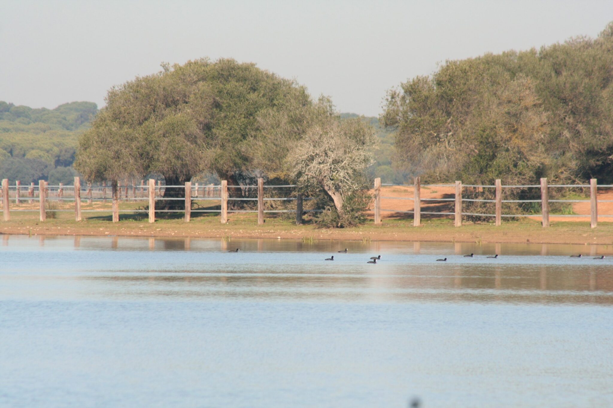La Consejería de Medio Ambiente aprueba dos iniciativas de ADAD que repercutirán en la mejora de la sostenibilidad comarcal
