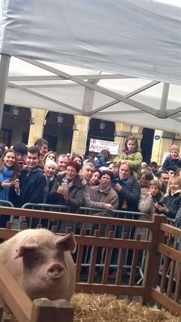 Cuántos residuos se han recogido en la feria de Santo Tomás de San Sebastián