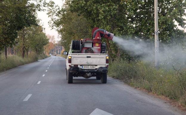 Ayuntamiento da por controlado repunte de plaga de mosquitos en entorno del Guadalhorce y mantiene vigilancia y control