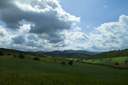 La Junta de Andalucía declarará Zona de Especial Conservación el corredor de Los Acebuchales