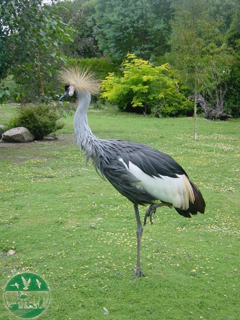 Falta de alimento y cambio climático