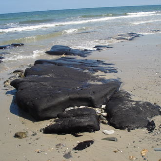 Un equipo de investigadores determinan la estructura molecular del chapapote para facilitar su limpieza