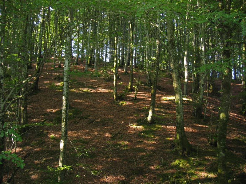 Álava aumenta el presupuesto del Parque Natural de Aizkorri-Aratz