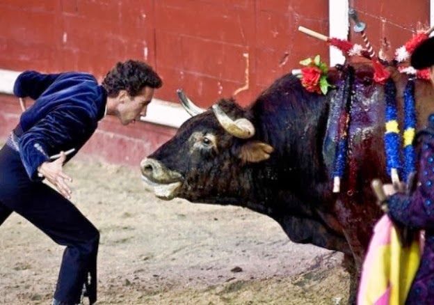 El establishment de la tauromaquia
