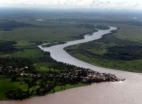 Jóvenes nicaragüenses reforestarán riveras del Río San Juan