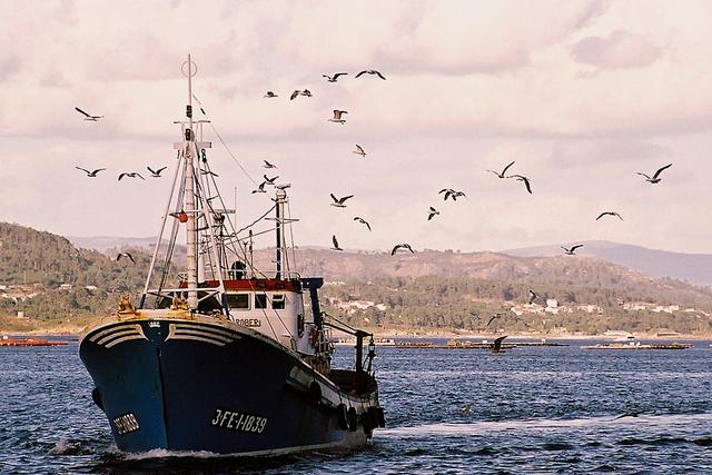 Oceana pide una nueva política pesquera común sostenible y basada en criterios científicos y ecológicos
