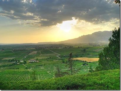 ‘Perfil Ambiental 2011’