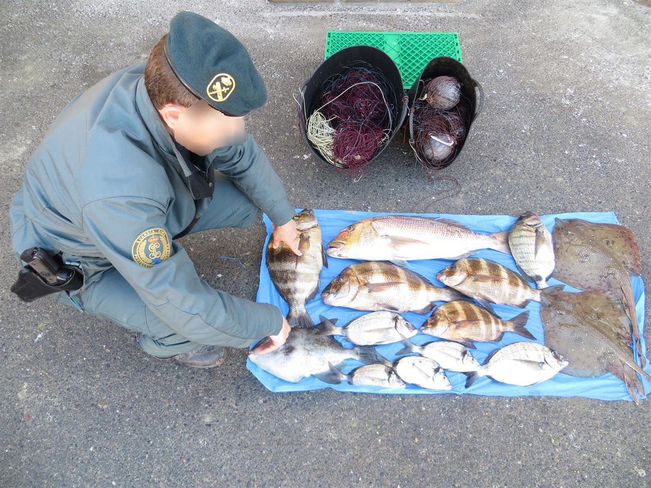 Decomisados pescados capturados en aguas de Cabo de Gata (Almería)