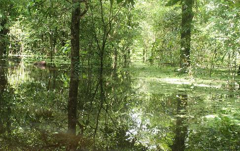 Un nuevo parque natural colombiano tiene la capacidad de enfrentar el cambio climático