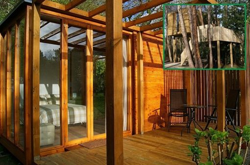 Lujo sobre los árboles