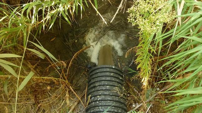 El Estado acelerará la finalización de las depuradoras de Doñana