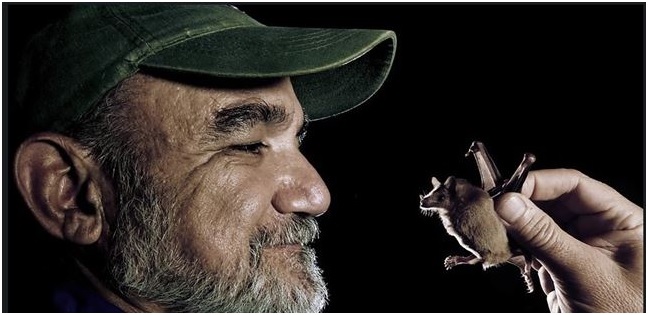 El murciélago no es tan malo como lo pintan