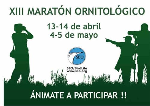 XIII Maratón Ornitológico