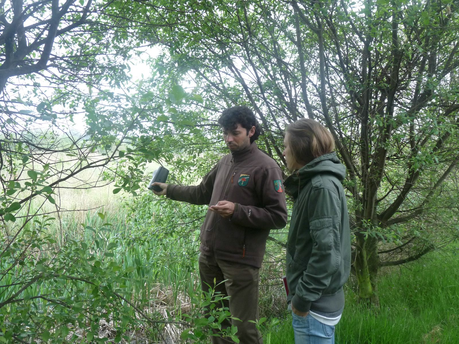 La coordinadora del Comité Español de UICN visitó los trabajos realizados por FNYH para mejorar el hábitat del escribano palustre en las marismas de Alday