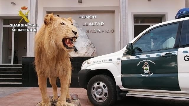 La Justicia española dictó 985 sentencias condenatorias por Medio Ambiente y Urbanismo en 2016