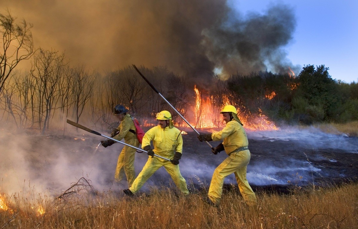 Más de 127.000 personas piden implantar un cuerpo profesional de bomberos forestales