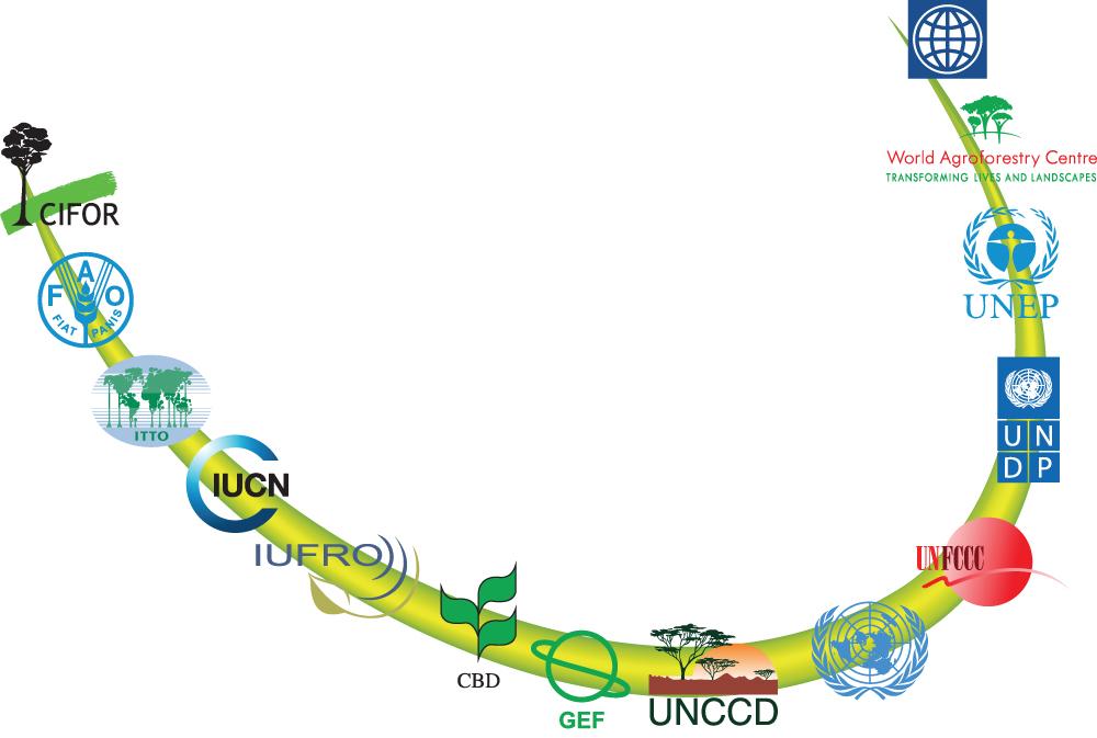 Manejo comunitario de bosques