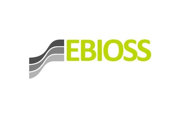Ebioss Energy recibe la aprobación de la UE para construir una planta de gasificación de residuos en Polonia