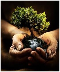 IUSC nos enseña a gestionar y conservar la naturaleza