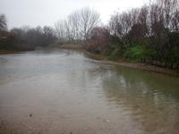 Hallan sustancias farmacológicas en las aguas de Doñana
