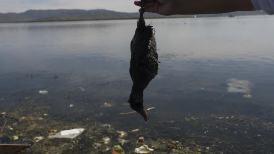 Perú. Peligroso aumento de la contaminación del lago Titicaca