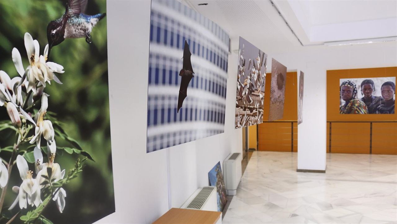 Causas y consecuencias del cambio global