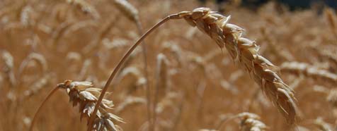 PAC y sus objetivos ambientales