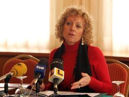 Díaz Tezanos advierte que la suspensión de las primas a las renovables pone en peligro el desarrollo eólico cántabro