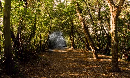 Arranca el centro de interpretación del monte Ulía en San Sebastián