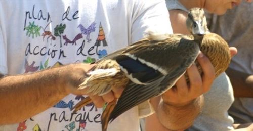 9 proyectos para el Programa de Voluntariado en Parques Nacionales