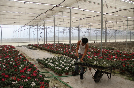 Con energías limpias