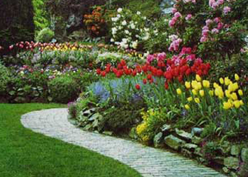 Proyecto Los ecosistemas urbanos como sumideros de CO2