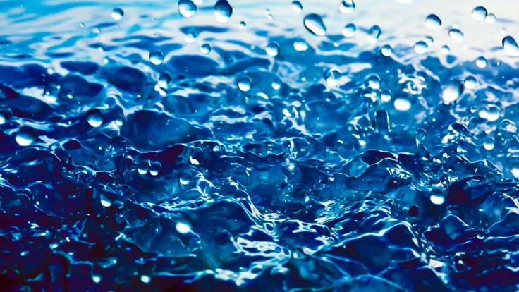 Todavía no has leído nuestro ‘Especial Agua 2017/2018’