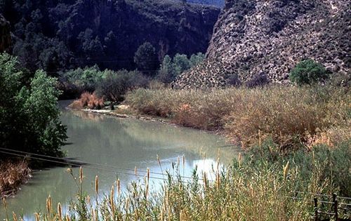 La Comunidad difunde los valores naturales de la Región para fomentar la protección de la biodiversidad y la naturaleza