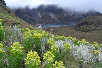 Minambiente celebra los primeros 50 años de Parques Nacionales Naturales de Colombia