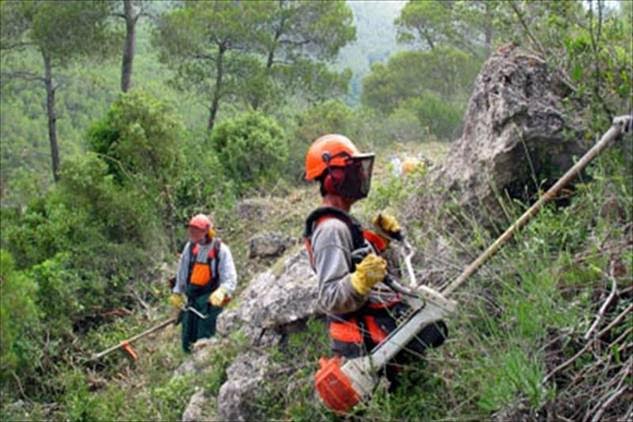 El sector forestal andaluz se va a Europa para reclamar mejores condiciones