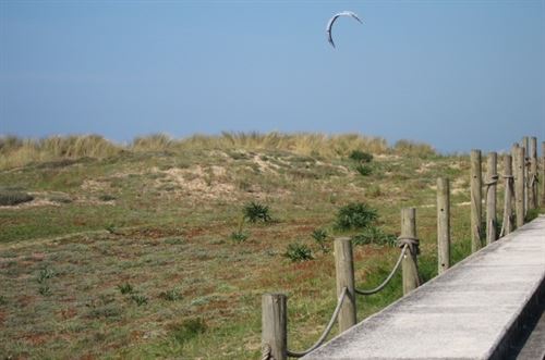 La Universidad lidera un proyecto cofinanciado por la UE para regenerar sistemas dunares de playas del Cantábrico