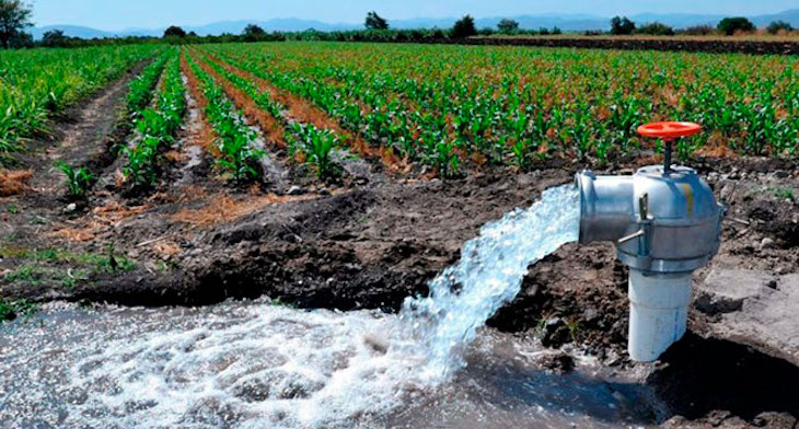 Combatir el regadío ilegal con eficacia y rotundidad