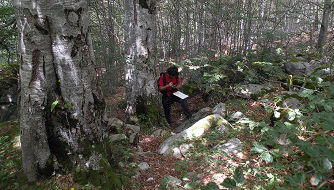 Conoce las ‘claves’ para resistir al cambio global en la región mediterránea