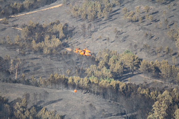 Alerta con los retardantes de llama que se usan para apagar los incendios forestales