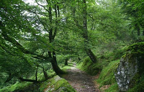 La mayoría de las CCAA  incumplen la ley europea de la red Natura 2000