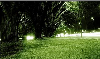 La Consejería de Medio Ambiente abre en Málaga el nuevo Parque Lineal de Campanillas