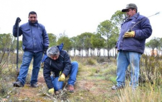 Plantados 4.000 árboles en Neuqué