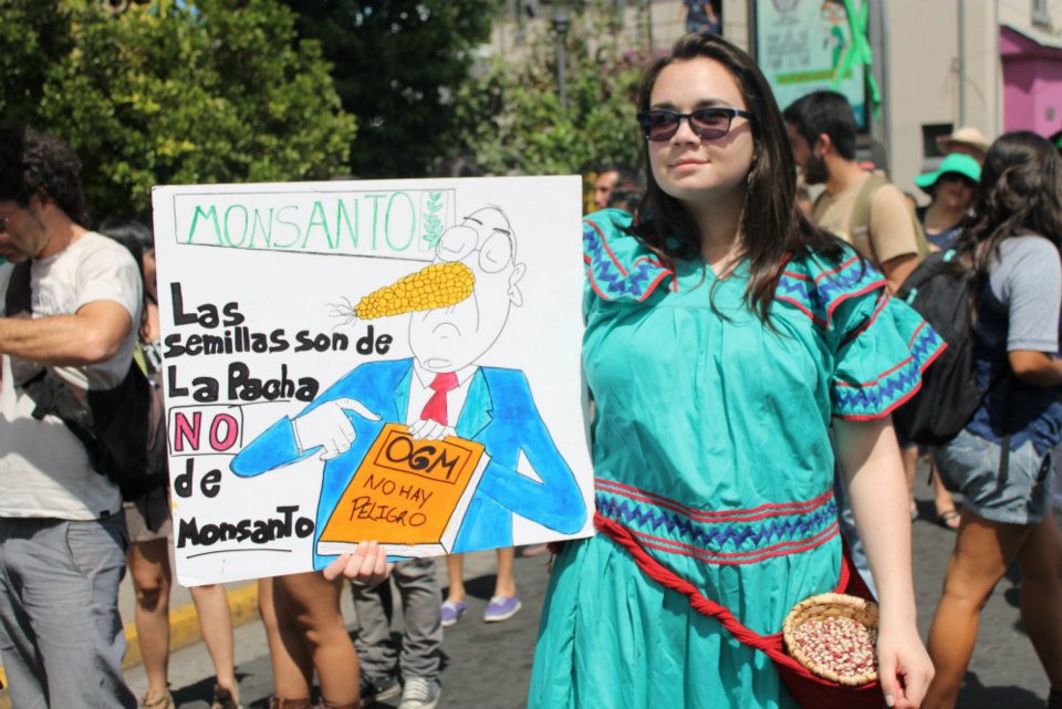 Educadores rechazan siembra de cultivos transgénicos en Costa Rica