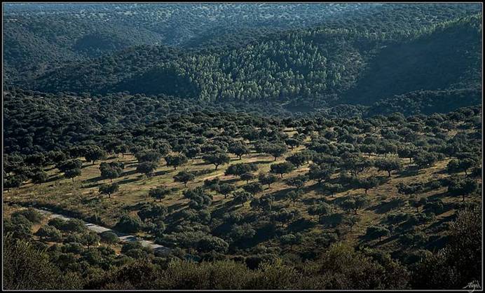 Extremadura quiere fomentar la ‘inteligencia ambiental’ en los usos de la naturaleza como motor de desarrollo